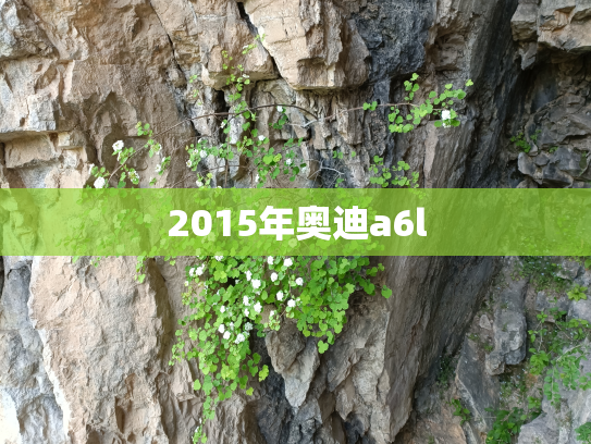2015年奥迪a6l