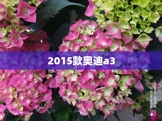2015款奥迪a3