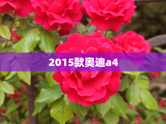 2015款奥迪a4