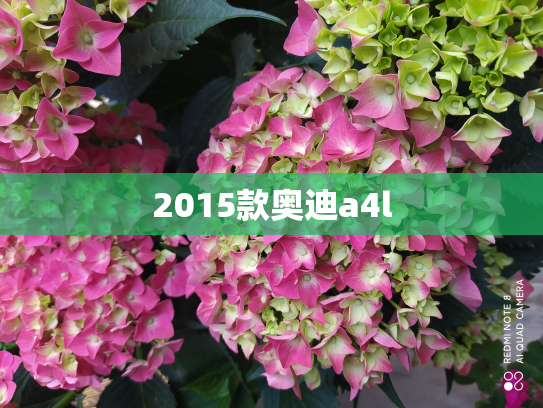 2015款奥迪a4l