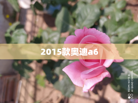 2015款奥迪a6