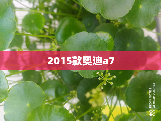 2015款奥迪a7