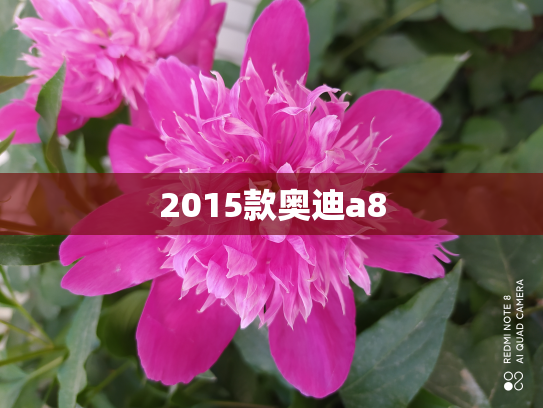 2015款奥迪a8