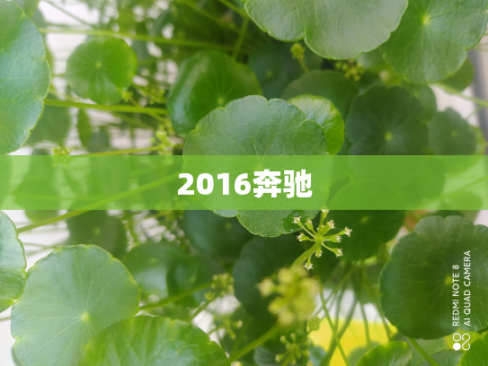 2016奔驰