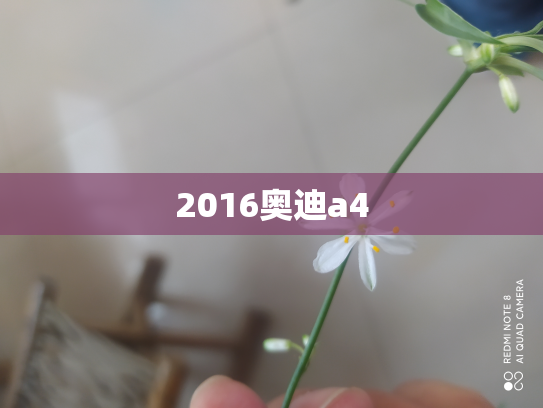 2016奥迪a4