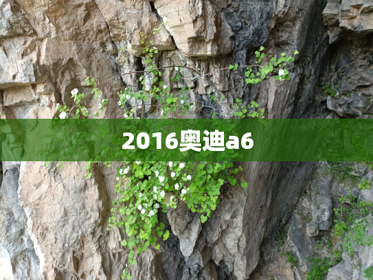 2016奥迪a6