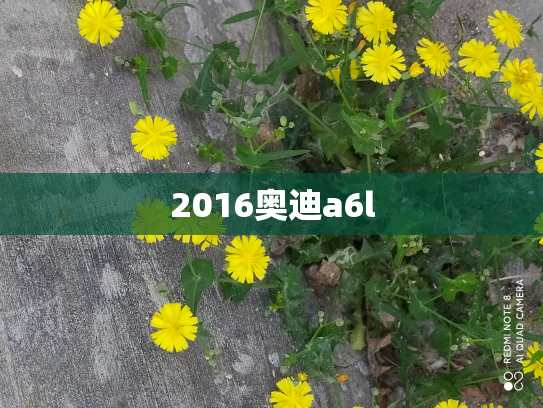 2016奥迪a6l