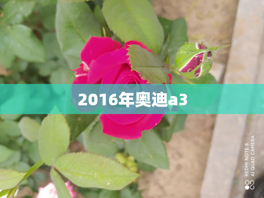 2016年奥迪a3