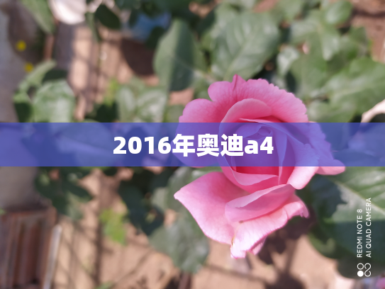 2016年奥迪a4