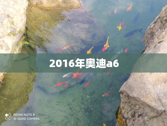 2016年奥迪a6