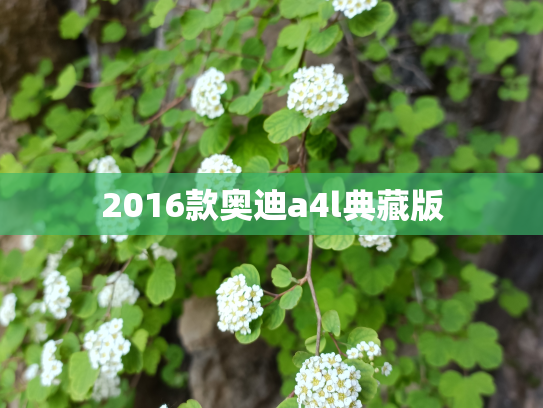 2016款奥迪a4l典藏版