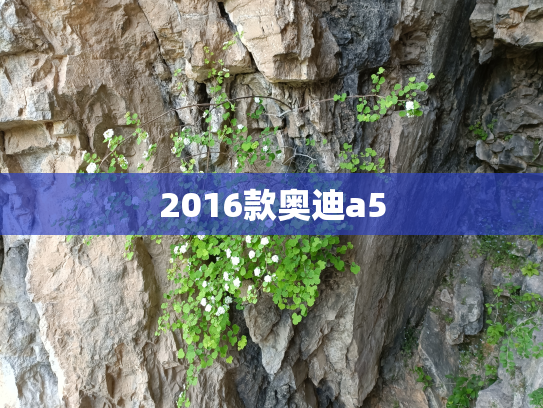 2016款奥迪a5