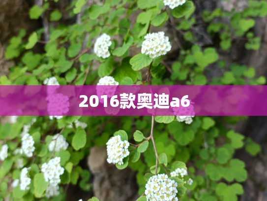2016款奥迪a6