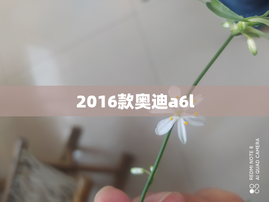2016款奥迪a6l