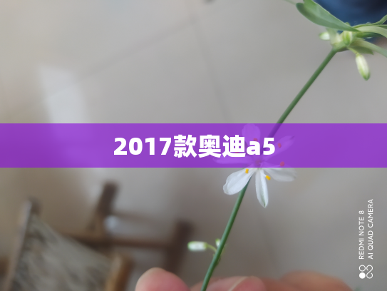 2017款奥迪a5