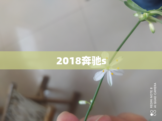 2018奔驰s