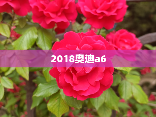 2018奥迪a6