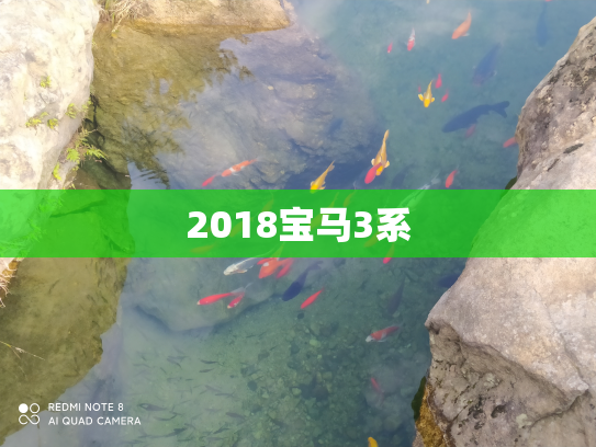 2018宝马3系