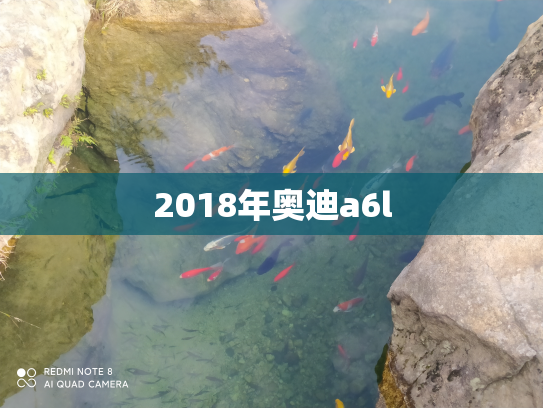 2018年奥迪a6l