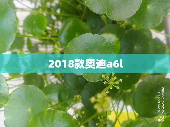 2018款奥迪a6l