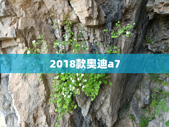 2018款奥迪a7