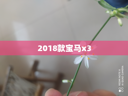 2018款宝马x3