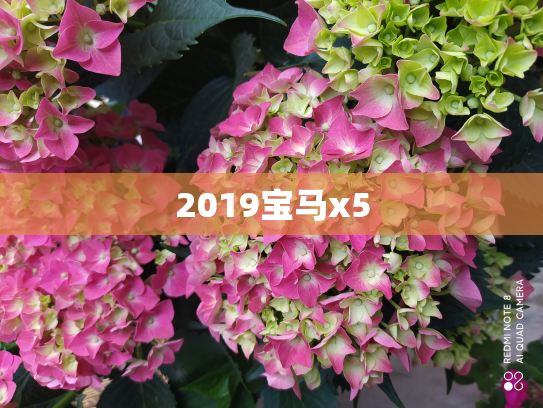 2019宝马x5