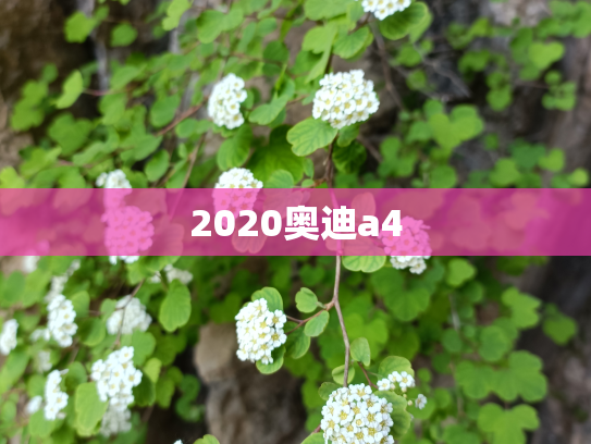2020奥迪a4