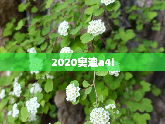 2020奥迪a4l