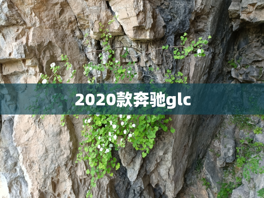 2020款奔驰glc