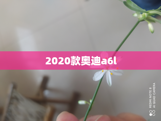 2020款奥迪a6l