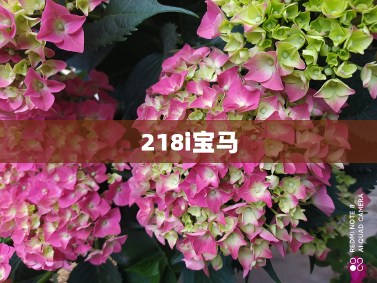 218i宝马