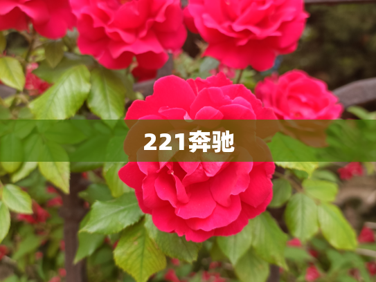 221奔驰