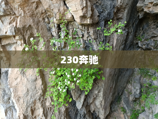 230奔驰
