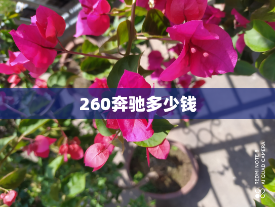 260奔驰多少钱