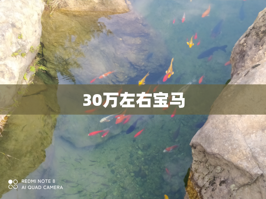 30万左右宝马
