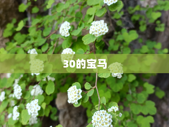 30的宝马