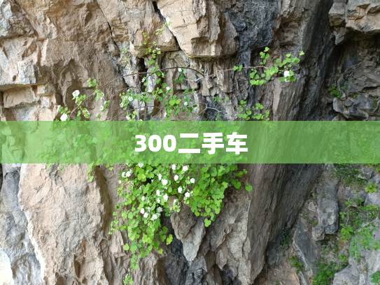 300二手车