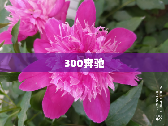 300奔驰