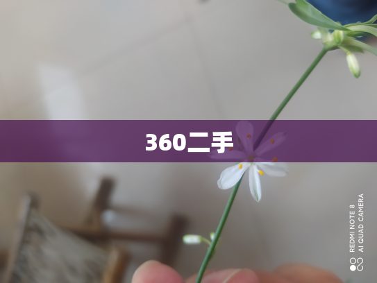 360二手