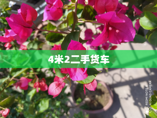 4米2二手货车