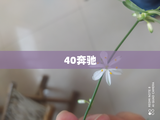 40奔驰