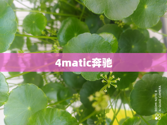 4matic奔驰