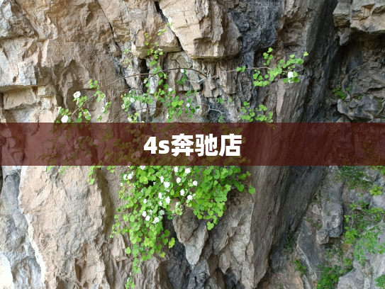 4s奔驰店