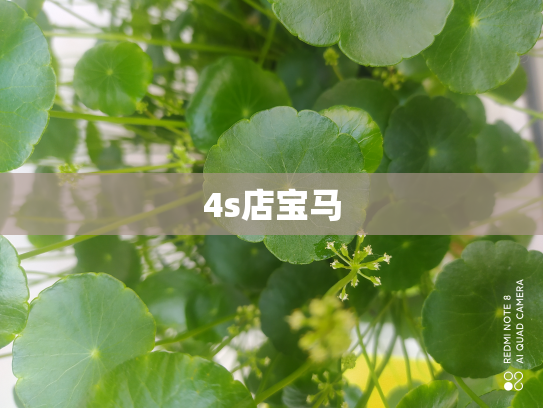 4s店宝马