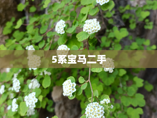 5系宝马二手