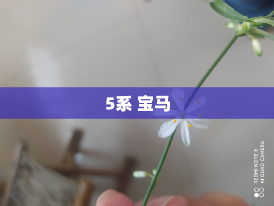 5系 宝马