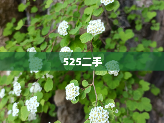 525二手