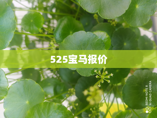 525宝马报价