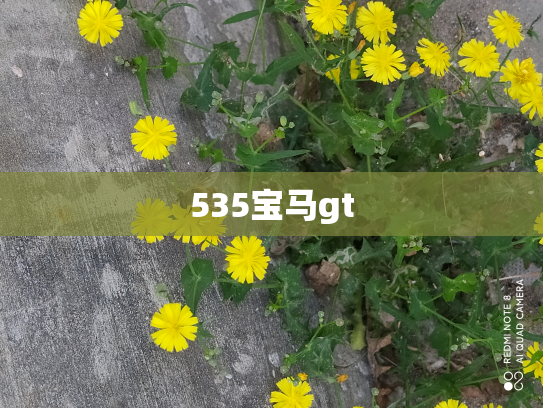 535宝马gt
